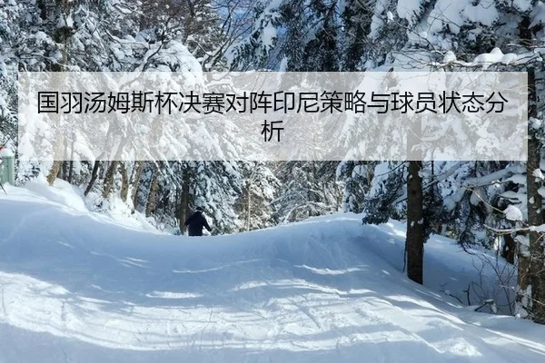 guo-yu-tang-mu-si-bei-jue-sai-dui-zhen-yin-ni-ce-lve-yu-qiu-yuan-zhuang-tai-fen-xi-3-846.jpg